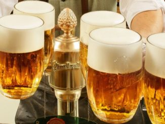 Чешское пиво и пивные традиции Чехии