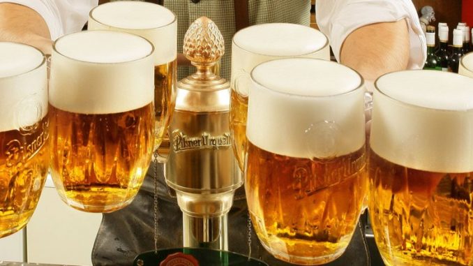 Чешское пиво и пивные традиции Чехии