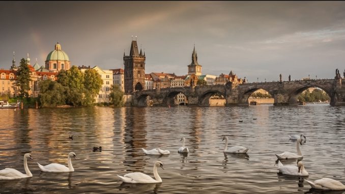 Прага - Лебеди на Влтаве